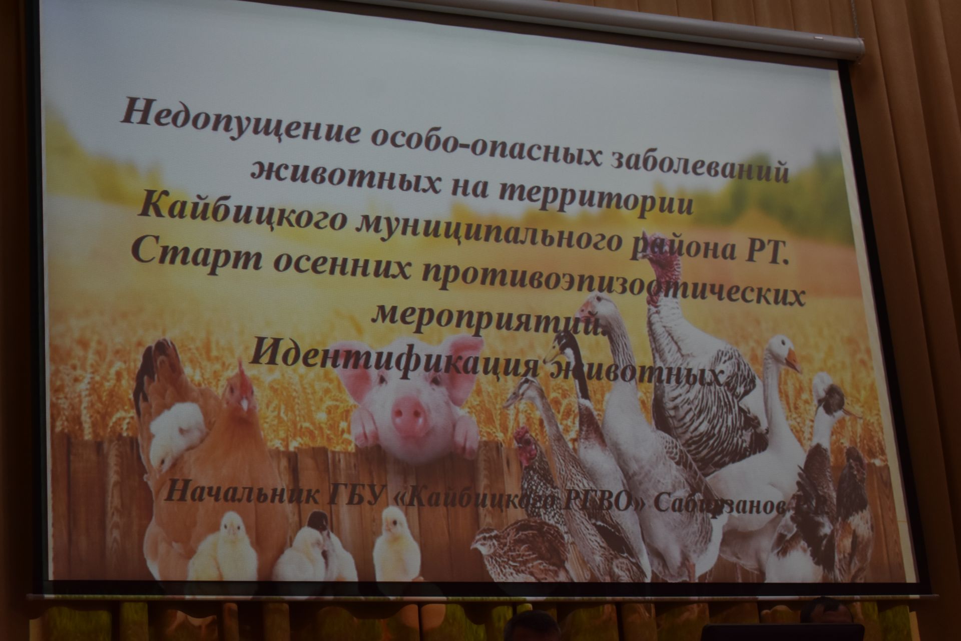 В Кайбицах обсудили итоги животноводства за девять месяцев года