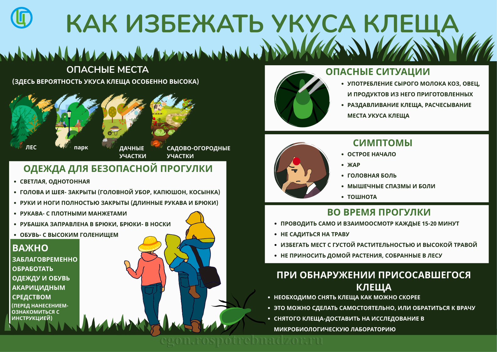 Клещевой вирусный энцефалит и меры его профилактики