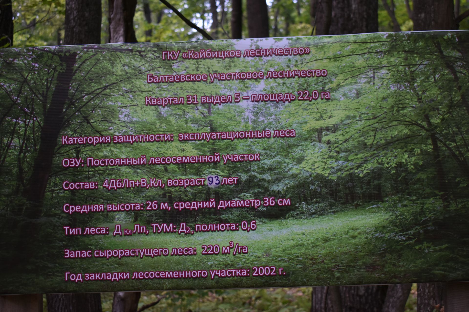 В Кайбицком лесничесте состоялся зональный семинар-совещание по вопросам защиты лесов от непарного шелкопряда