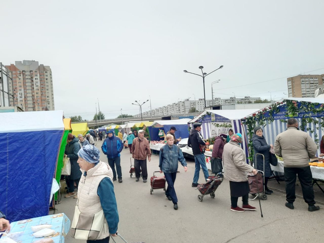 На ярмарке в Казани кайбицкие сельхозпроизводители реализовали свою продукцию