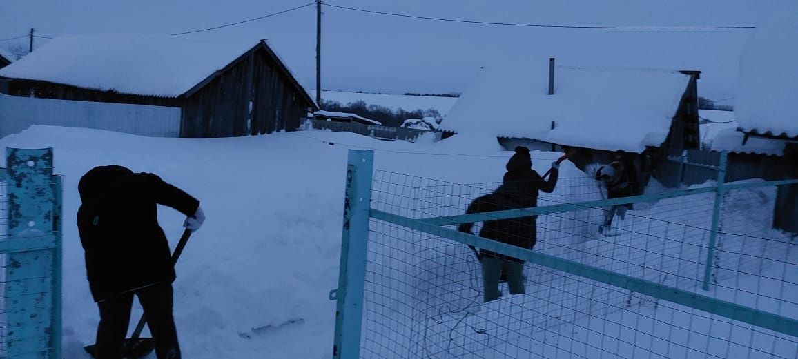 Тимуровцы помогают пожилым в очистке снега