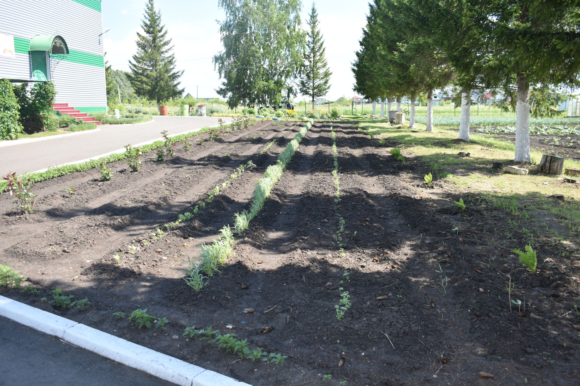 Район башлыгы мәктәпләрнең һәм балалар бакчаларының яңа уку елына әзерлеге белән танышуын дәвам итә