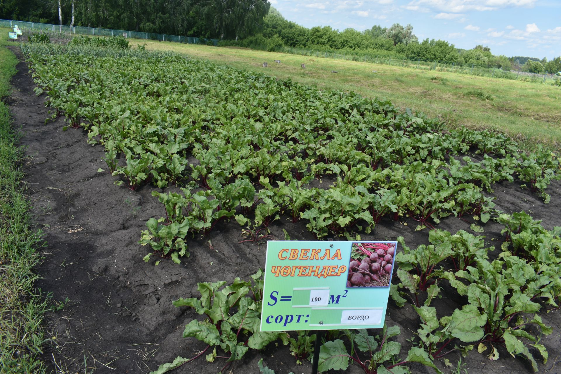 Район башлыгы мәктәпләрнең һәм балалар бакчаларының яңа уку елына әзерлеге белән танышуын дәвам итә