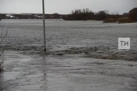 В Буинском районе из-за подъема уровня воды закрыли два моста через Свиягу