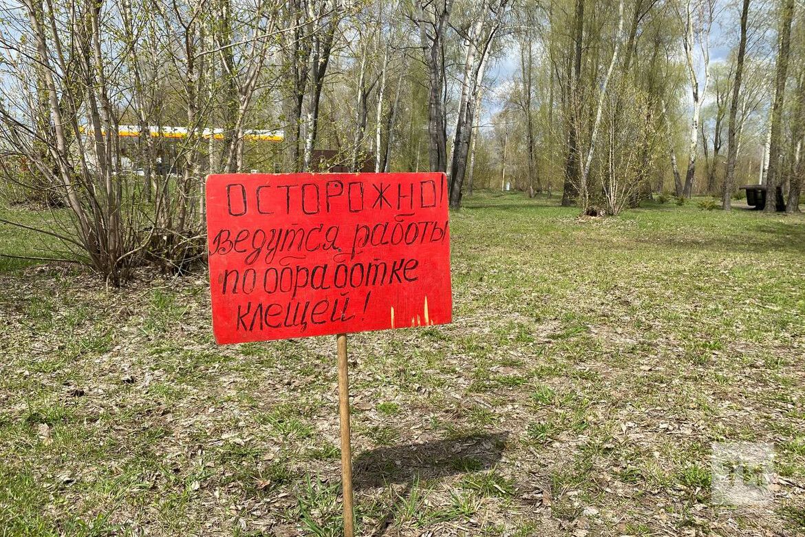 С начала года в больницы из-за укусов клещей обратились более 9 тысяч татарстанцев