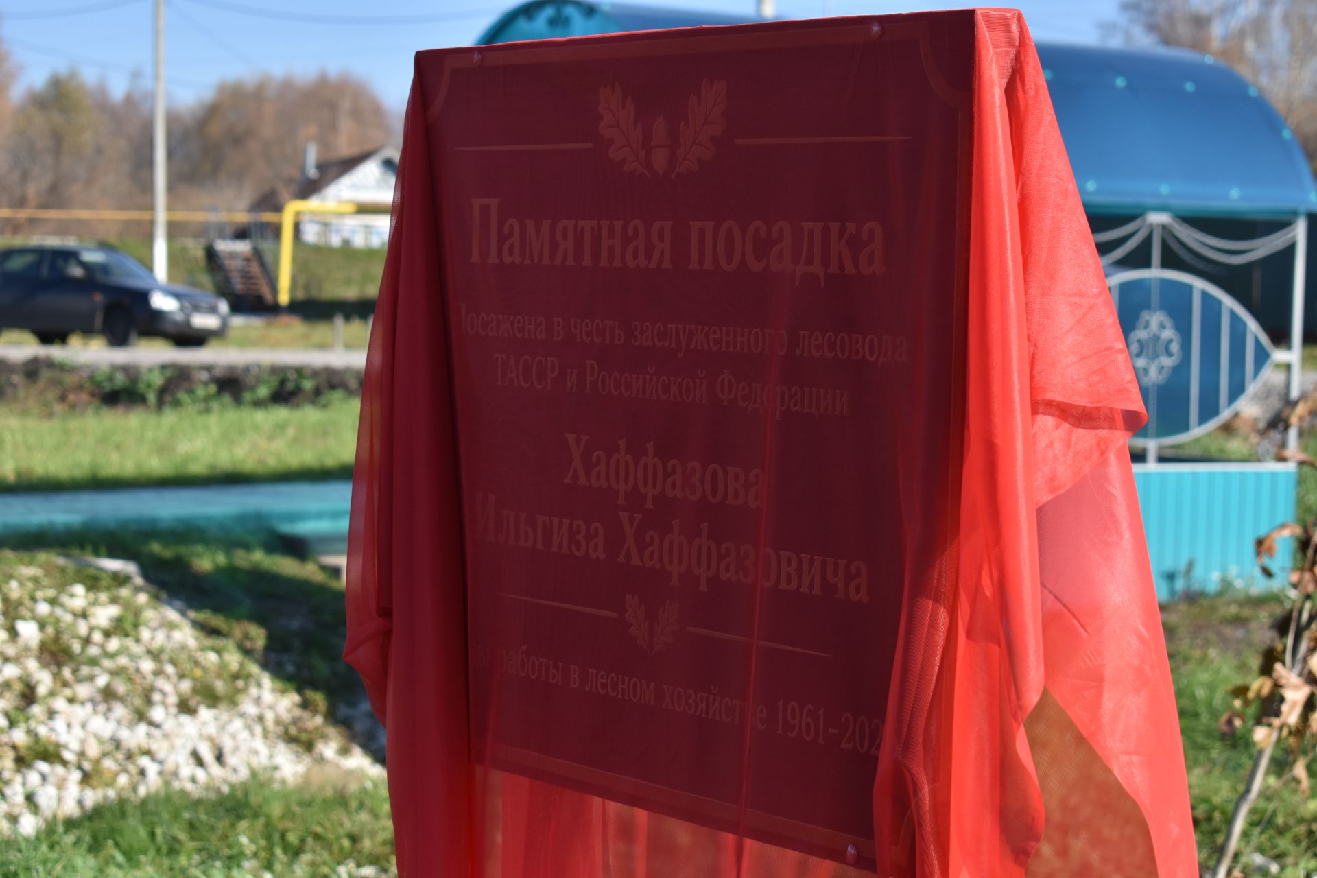 В Кайбицах заложили дубовую аллею в память о заслуженном лесоводе