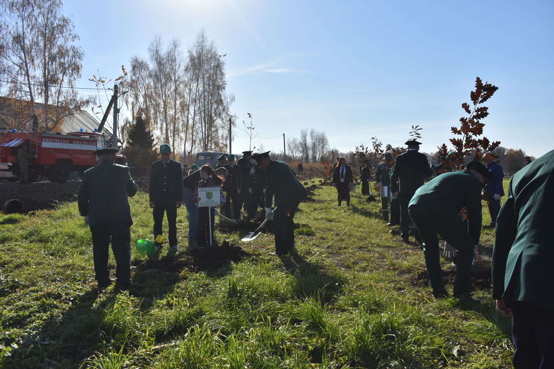 В Кайбицах заложили дубовую аллею в память о заслуженном лесоводе