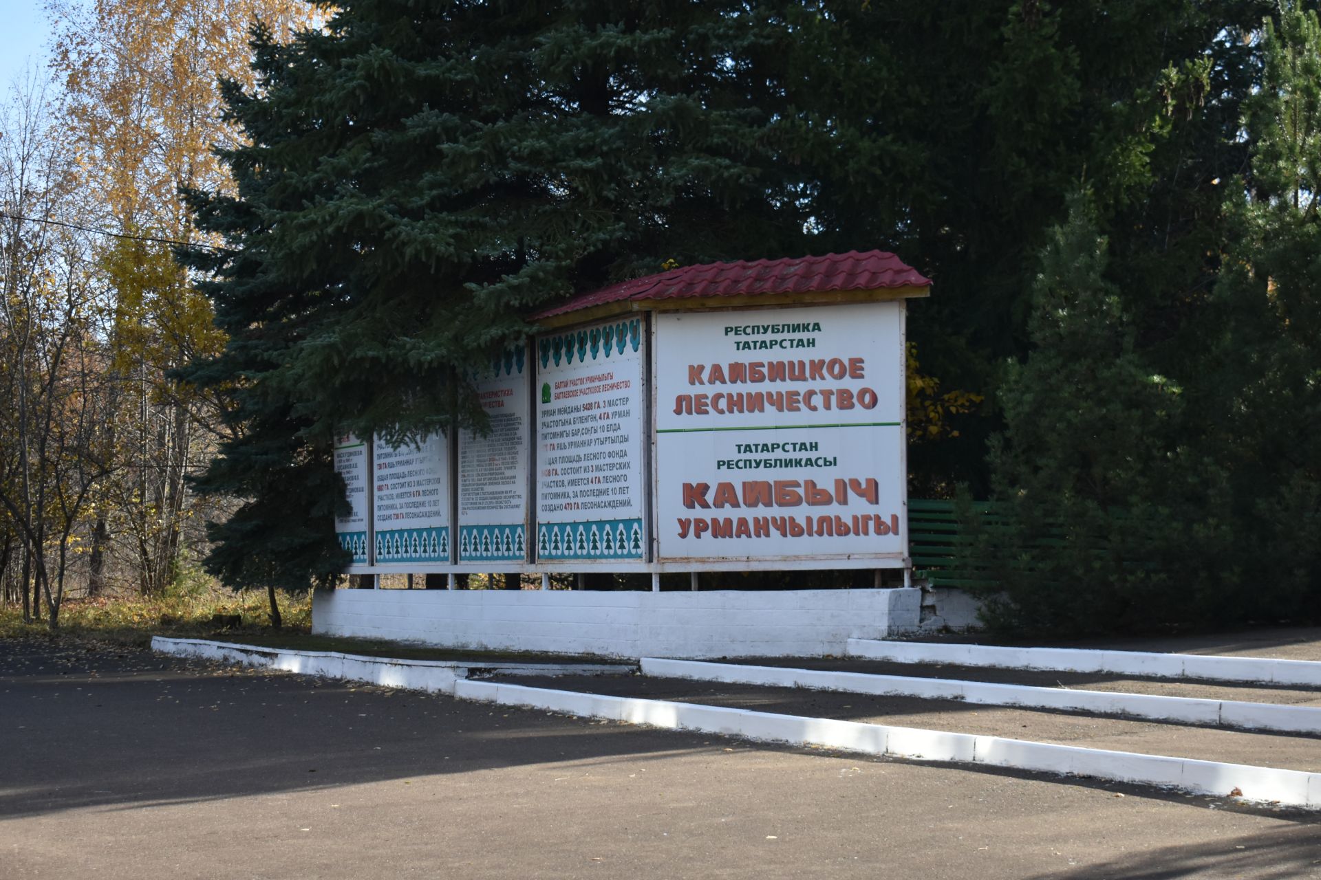 Мемориальный уголок памяти заслуженного лесовода открыли в Кайбицком районе