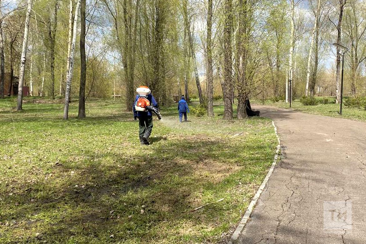 Врач напомнил, что надо делать, если вас укусил клещ