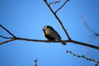 В Татарстане потеплеет до 6 градусов выше нуля, ветер ослабнет