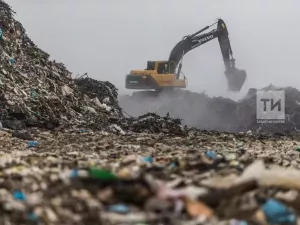 С 1 сентября изменились правила обращения с отходами