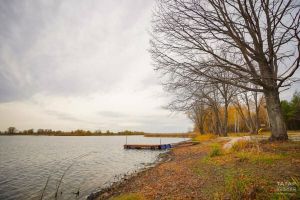 Жителей Татарстана предупредили о сильном ветре 14 ноября