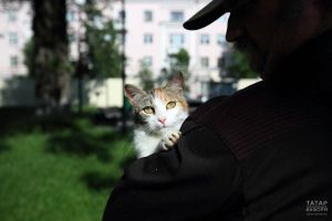 Ветеринарный фельдшер из Татарстана победила во всероссийском конкурсе
