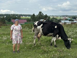 Жительница Старого Тябердина Лариса Петухова содержит в своем хозяйстве семь коров