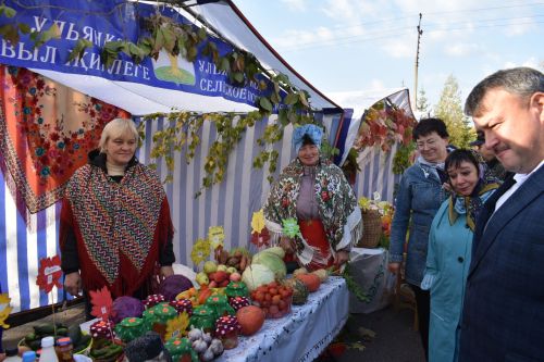 В Больших Кайбицах прошла сельскохозяйственная ярмарка, посвященная Международному дню пожилых людей