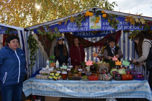 В Больших Кайбицах прошла сельскохозяйственная ярмарка, посвященная Международному дню пожилых людей