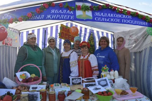 В Больших Кайбицах прошла сельскохозяйственная ярмарка, посвященная Международному дню пожилых людей