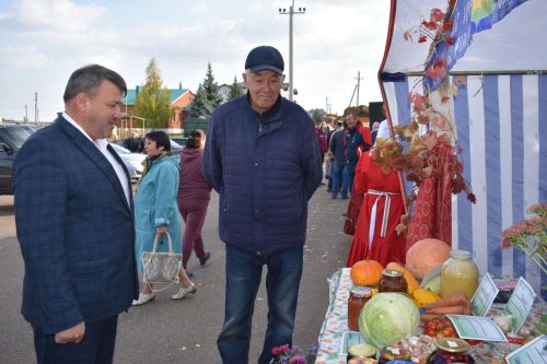 В Больших Кайбицах прошла сельскохозяйственная ярмарка, посвященная Международному дню пожилых людей