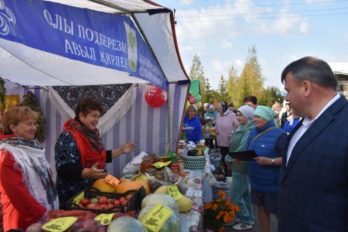 В Больших Кайбицах прошла сельскохозяйственная ярмарка, посвященная Международному дню пожилых людей