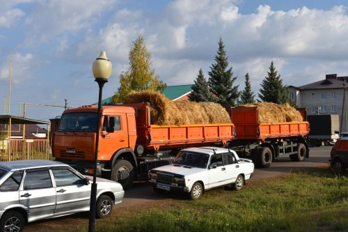 В Больших Кайбицах прошла сельскохозяйственная ярмарка, посвященная Международному дню пожилых людей