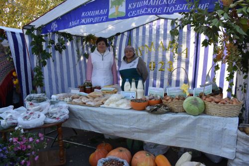 В Больших Кайбицах прошла сельскохозяйственная ярмарка, посвященная Международному дню пожилых людей