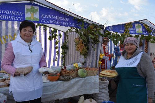 В Больших Кайбицах прошла сельскохозяйственная ярмарка, посвященная Международному дню пожилых людей