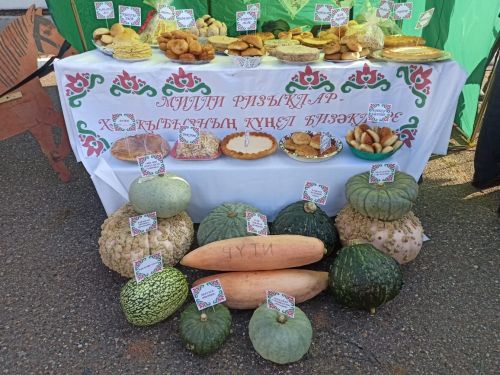 В Больших Кайбицах состоялась школьная ярмарка