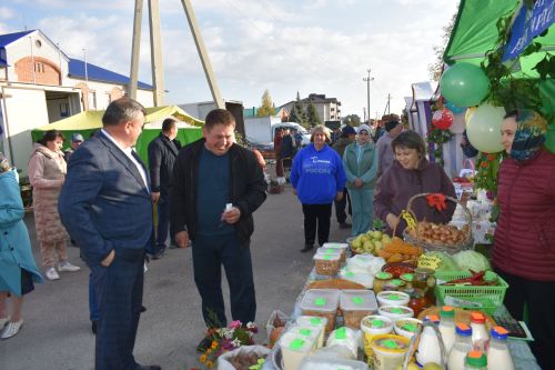 В Больших Кайбицах прошла сельскохозяйственная ярмарка, посвященная Международному дню пожилых людей
