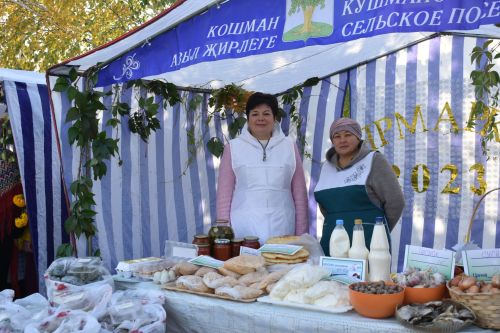 В Больших Кайбицах прошла сельскохозяйственная ярмарка, посвященная Международному дню пожилых людей