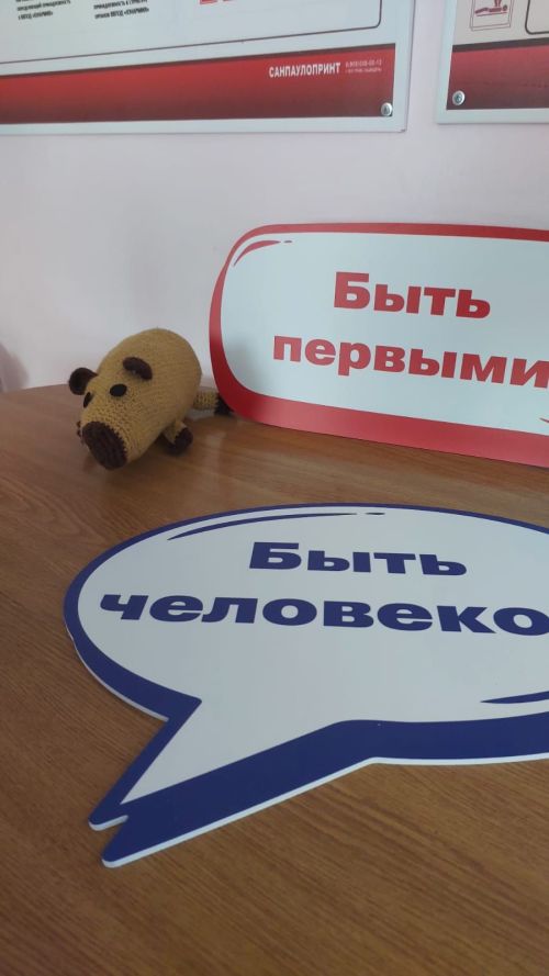 В Кайбицком районе состоялось посвящение наставников в «Движение первых»