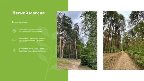 Старейшая сосна, редкие грибы, краснокнижные птицы: «Казаньоргсинтез» откроет экотропу
