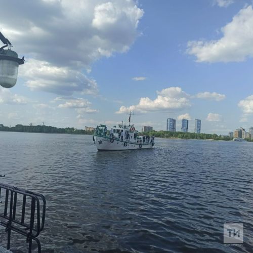 «Фламинго» из Татарстана борется за звание лучшего проекта в масштабах страны
