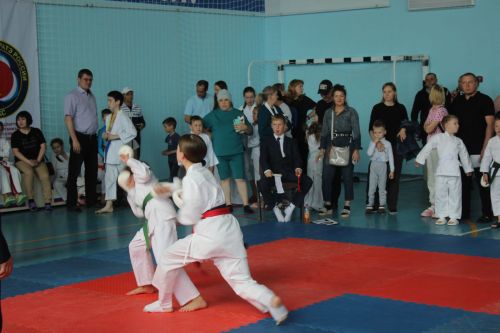 Юные каратисты Татарстана и Чувашии собрались в Кайбицах