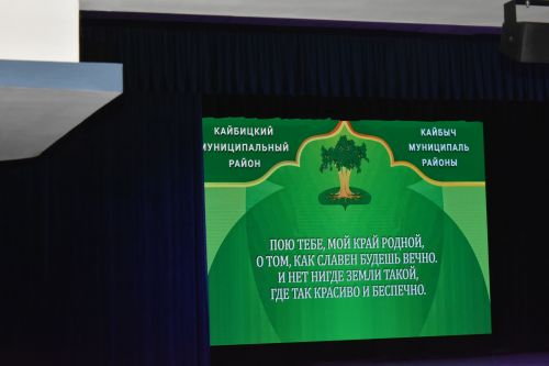 Кайбицы претендуют на звание культурной столицы Татарстана