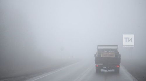 Сильный дым от горящей травы стал причиной массового ДТП на трассе в РТ