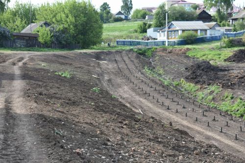В Больших Кайбицах появится новый парк