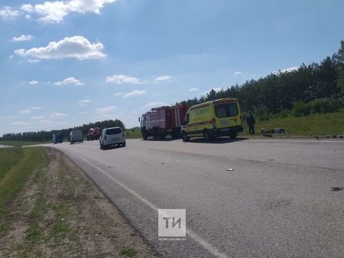 В этом году в Татарстане в ДТП при выезде на встречную полосу погибли 40 человек