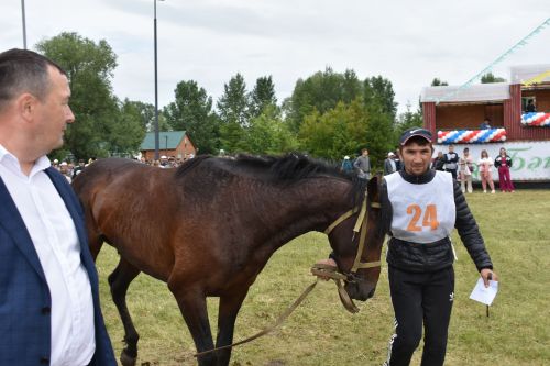 Сабантуй в Кайбицах стал олицетворением национального гостеприимства