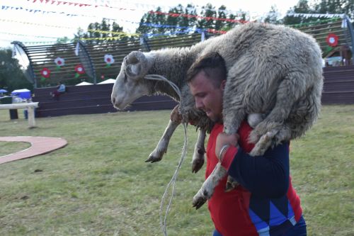 Мәйданнарда сынала батыр егетләр көче