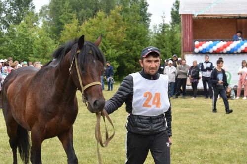 Сабантуй в Кайбицах стал олицетворением национального гостеприимства