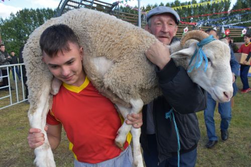Мәйданнарда сынала батыр егетләр көче