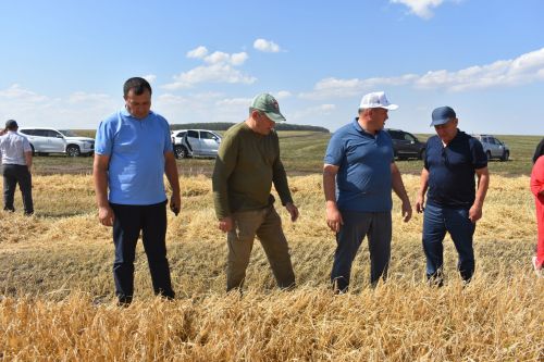 Марат Ахметов высоко оценил ход уборочных работ в Кайбицком районе
