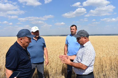 Марат Ахметов высоко оценил ход уборочных работ в Кайбицком районе