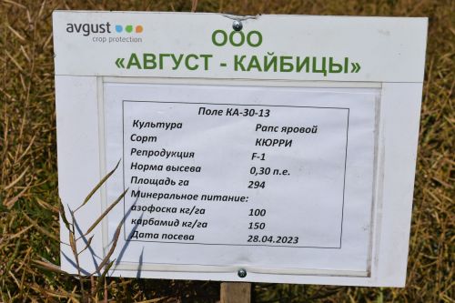 Марат Ахметов высоко оценил ход уборочных работ в Кайбицком районе