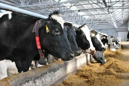 В Татарстане начнут прием уведомлений об отнесении веществ к побочным продуктам животноводства