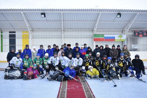 В Кайбицах в честь Дня единых действий состоялись соревнования по хоккею
