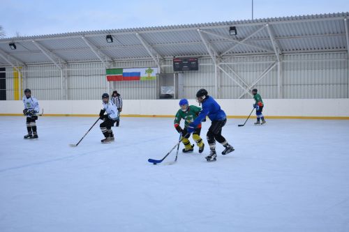 В Кайбицах в честь Дня единых действий состоялись соревнования по хоккею