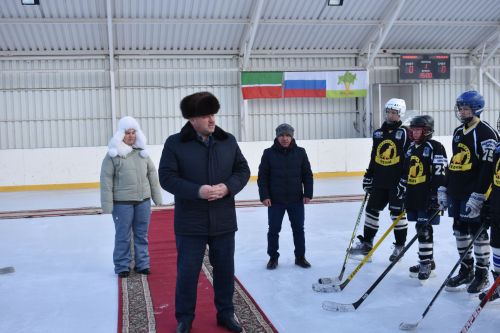 В Кайбицах в честь Дня единых действий состоялись соревнования по хоккею