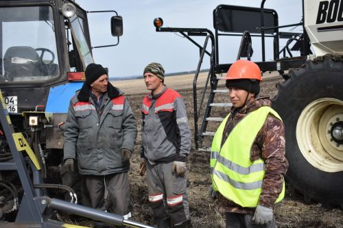 «Август-Кайбыч» җәмгыяте игенчеләре сабан культуралары чәчә башлады