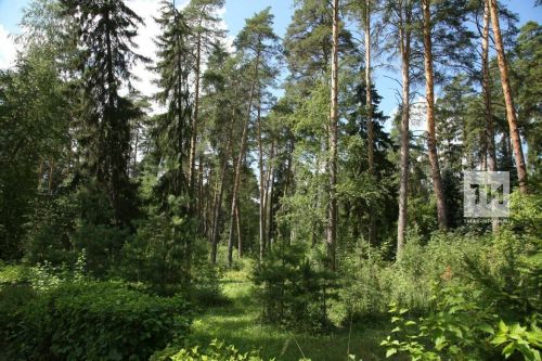 В Татарстане объявлено штормовое предупреждение